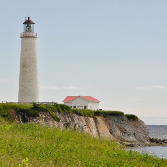 Discover Lighthouses & Whales in the Gaspé